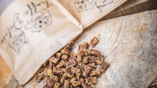 Pourquoi choisir des friandises naturelles pour son chat ? 🐱