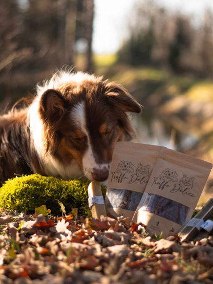 Friandises naturelle au poulet pour chats
