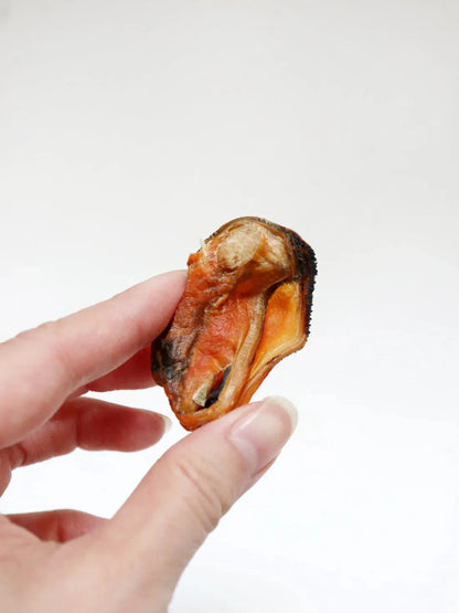 Moule séchée pour chats