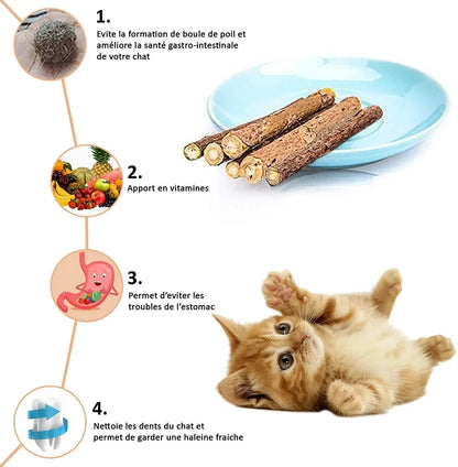 Box pour chat 100% Matatabi