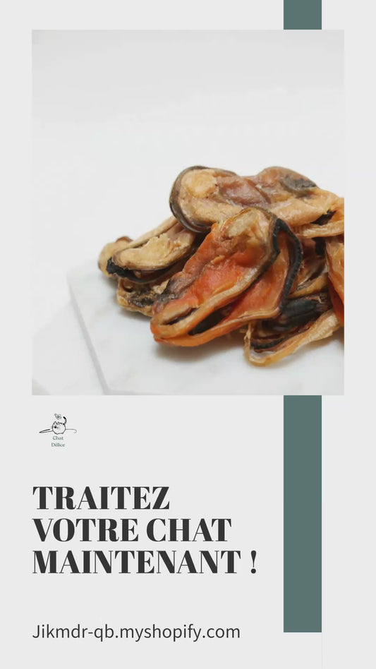 Moule séchée pour chats