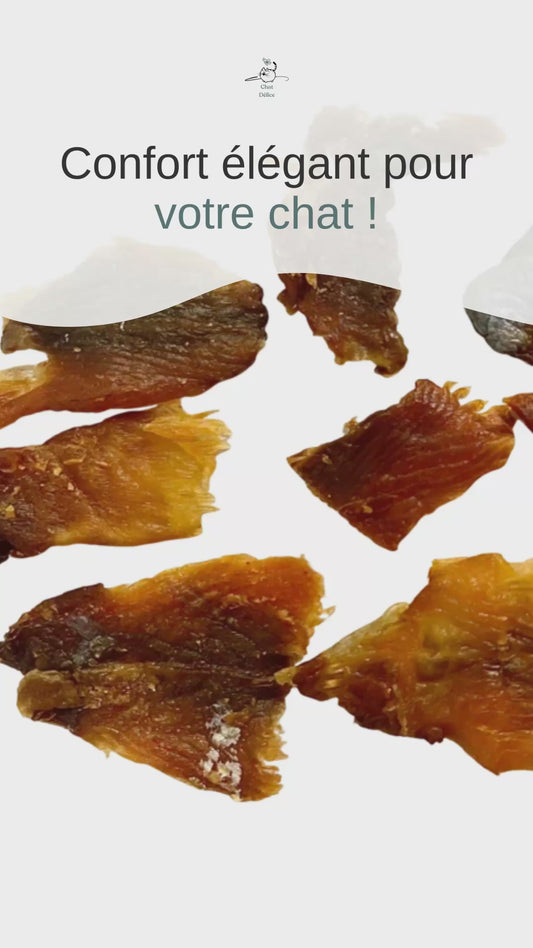 Pure chair saumon et truite pour chats