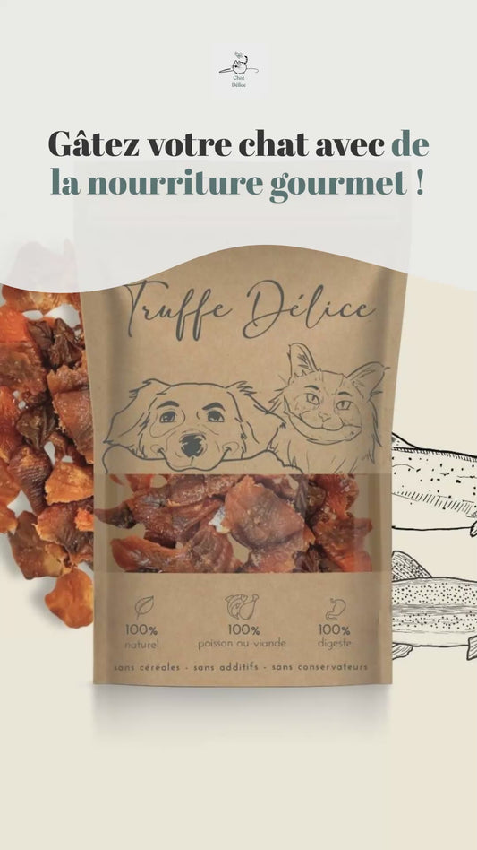 Chair fondante au saumon et à la truite pour chat