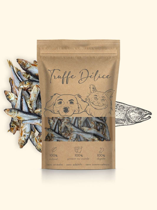 Sprats naturelle pour chats